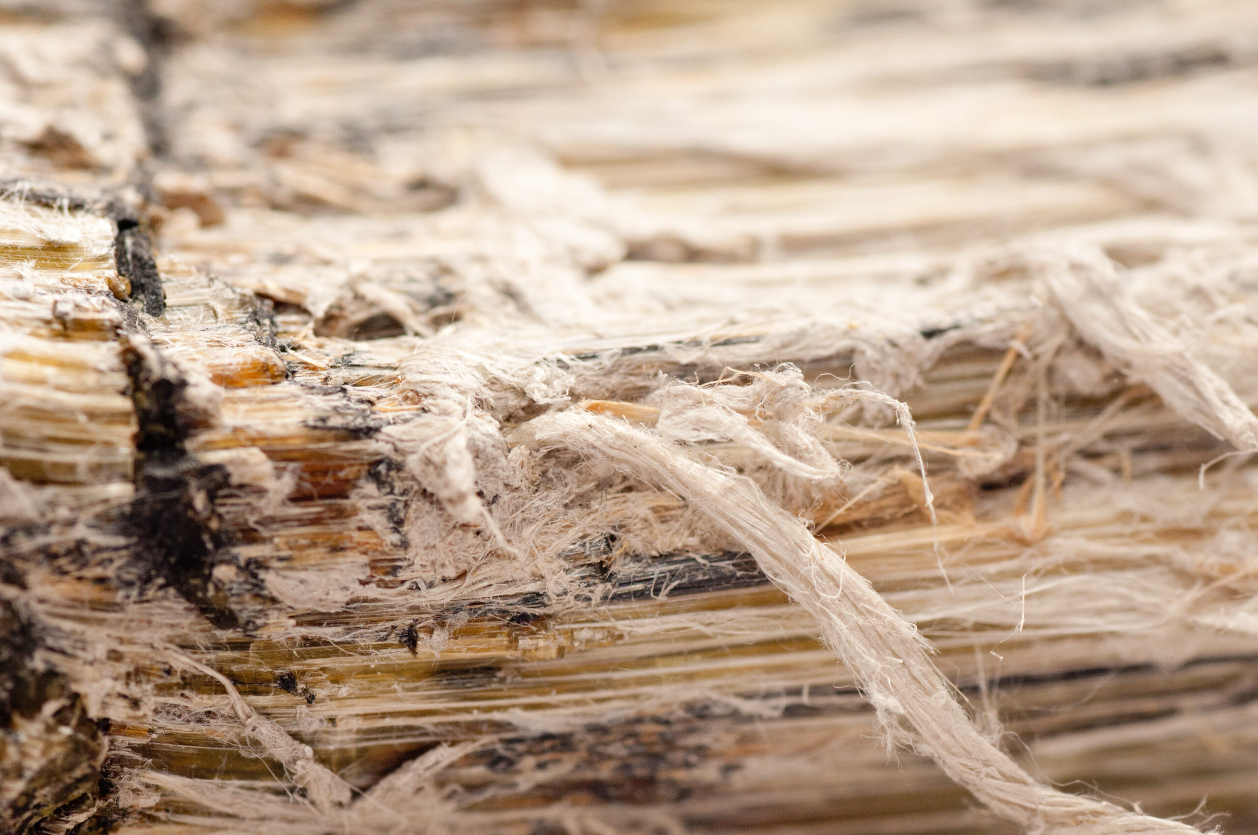 Asbestos Removal Services in Pottstown, PA