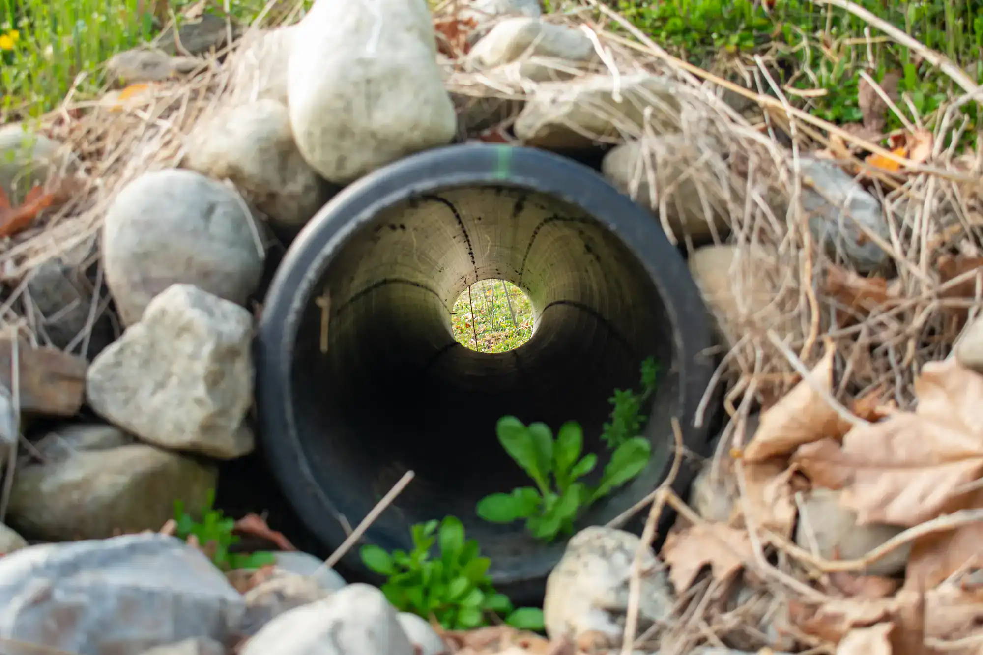 French drain pipe surrounded by drainage rocks during yard water management installation in Montgomery County, Pennsylvania